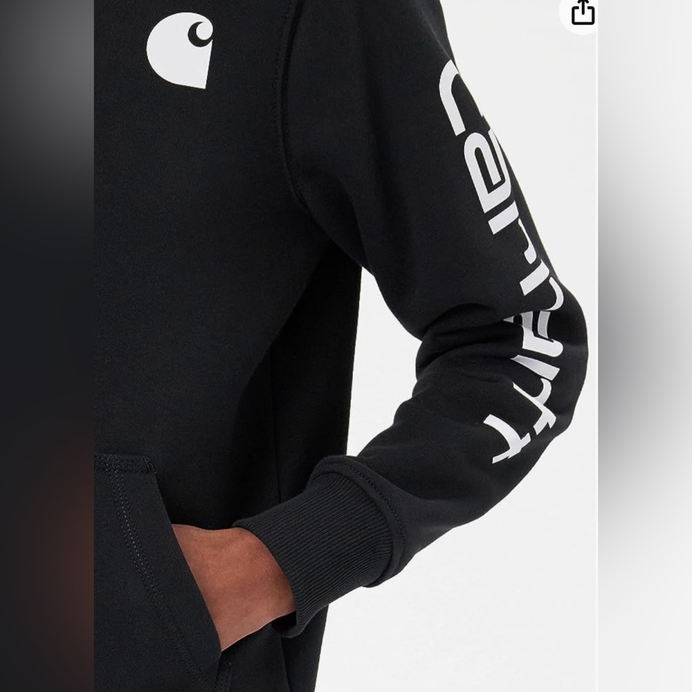 Carhartt Women’s Clarkburg Graphic Sleeve Pullover Sweatshirt - Picture 5 of 6